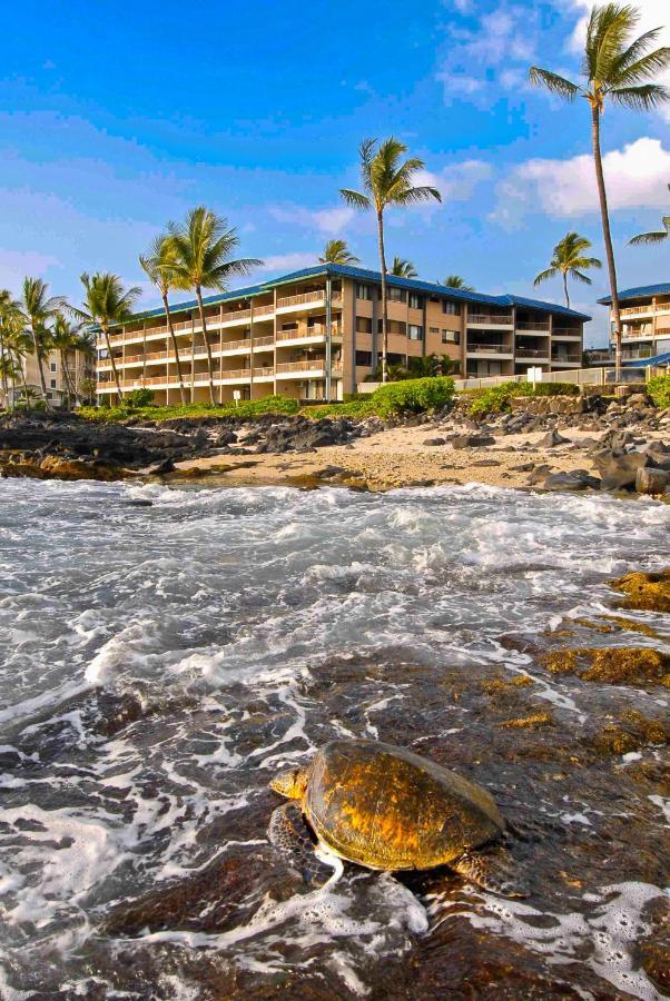 Kona Reef Hawaii By Raintree Aparthotel Kailua-Kona Exteriör bild